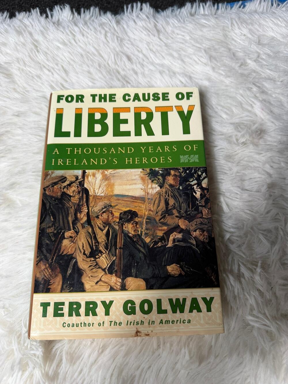 For The Cause Of Liberty Terry Golway Irish Heroes History Hardcover Dust Jacket